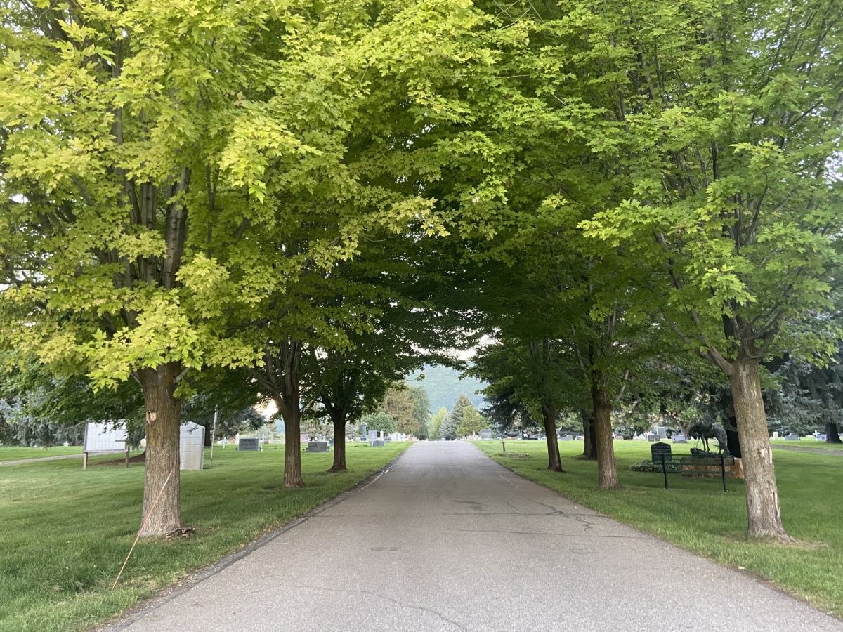 Cemetery Entrance