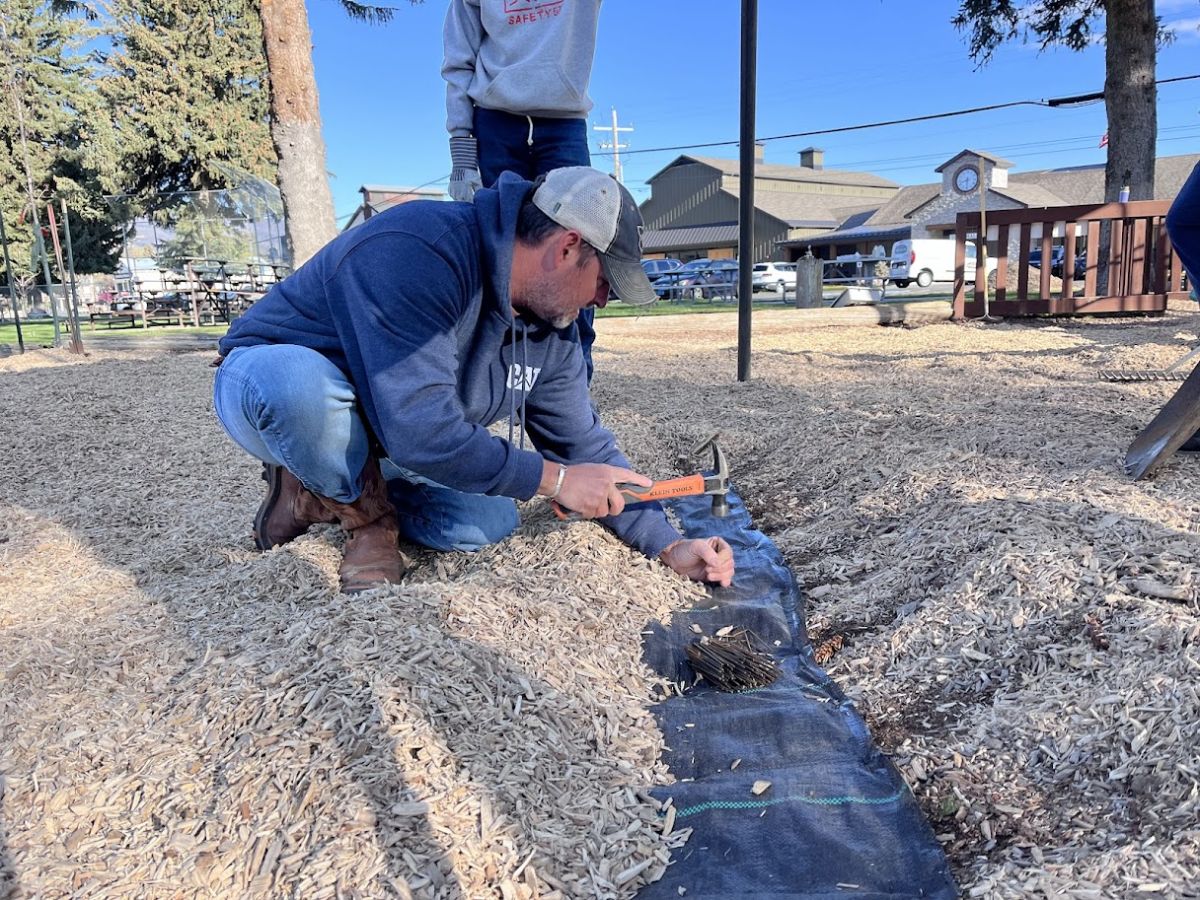 Man hammering a stake in the grass